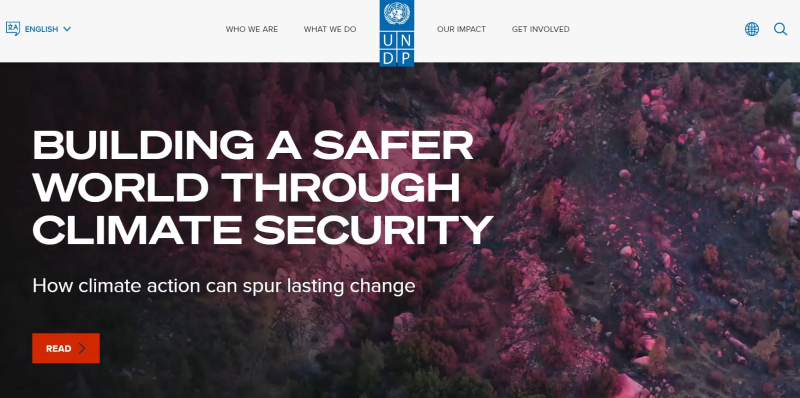 UNDP, 알고랜드 재단에 웹 3.0 교육 프로그램 개발 의뢰