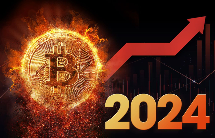Asset Markets 2024, Why Are Investors Focusing On Bitcoin