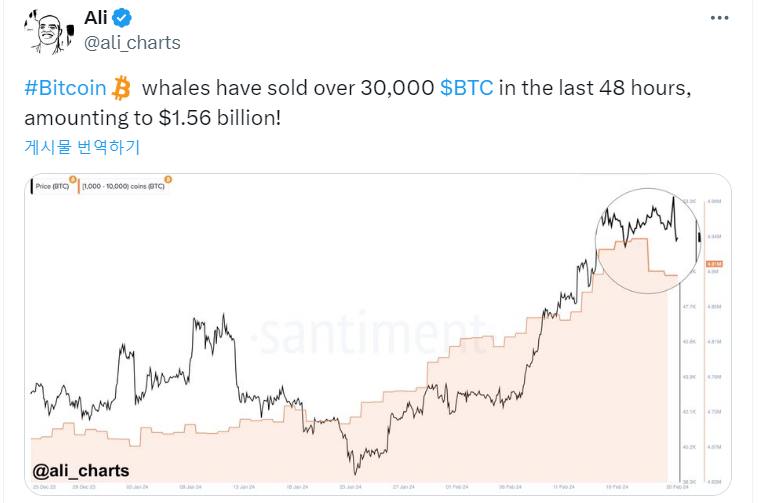비트코인 고래들, 최근 고점서 BTC 3000개 매도