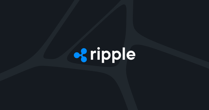 SBI Chairman Claims Ripple IPO Amid XRP Surge