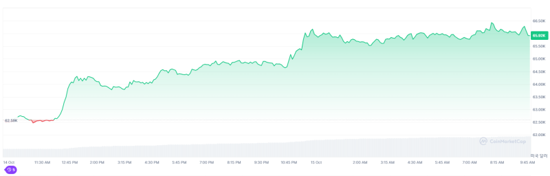 Bitcoin breaks through $66,000...Sudden 'Uptober', what's the reason?