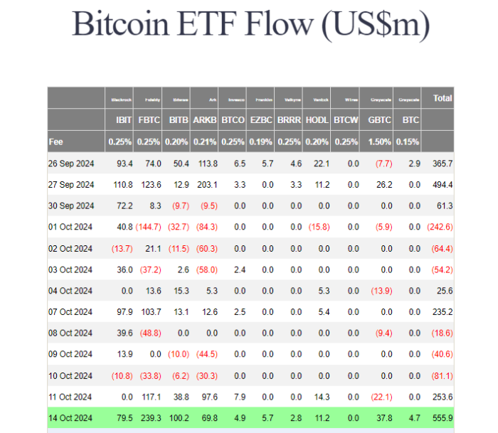 美 비트코인 현물 ETF, 14일 순유입액 7575억원 기록