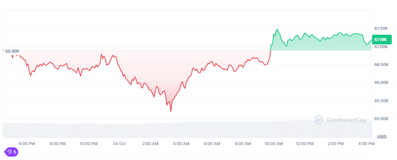 Bitcoin Rebound In Afternoon On Low-Priced Buying