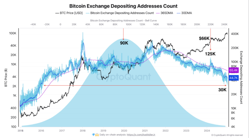 출처=CryptoQuant