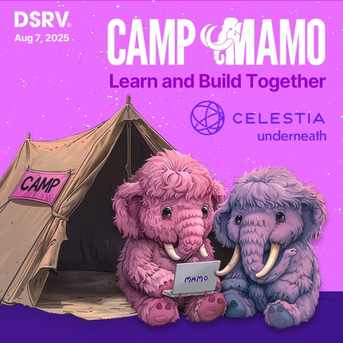 디에스알브이(DSRV), 셀레스티아와 \'캠프 마모\' 서울 밋업 개최