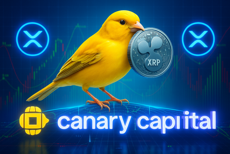 디자인=블록스트리트 정하연 기자