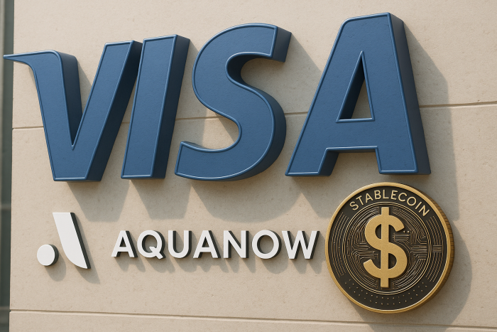비자, CEMEA 지역 스테이블코인 결제 확대