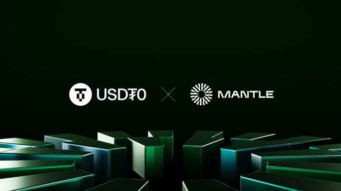 &quot;체인 경계 무너뜨린다&quot; 맨틀, USDT0로 크로스체인 전송 실현