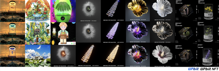업비트, 시드볼트 NFT로 멸종위기식물 보전지 3호 조성