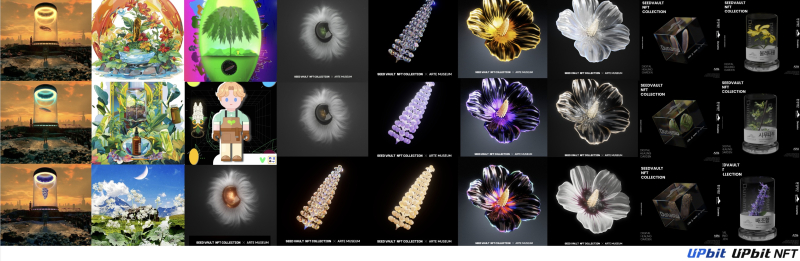 업비트, 시드볼트 NFT로 멸종위기식물 보전지 3호 조성