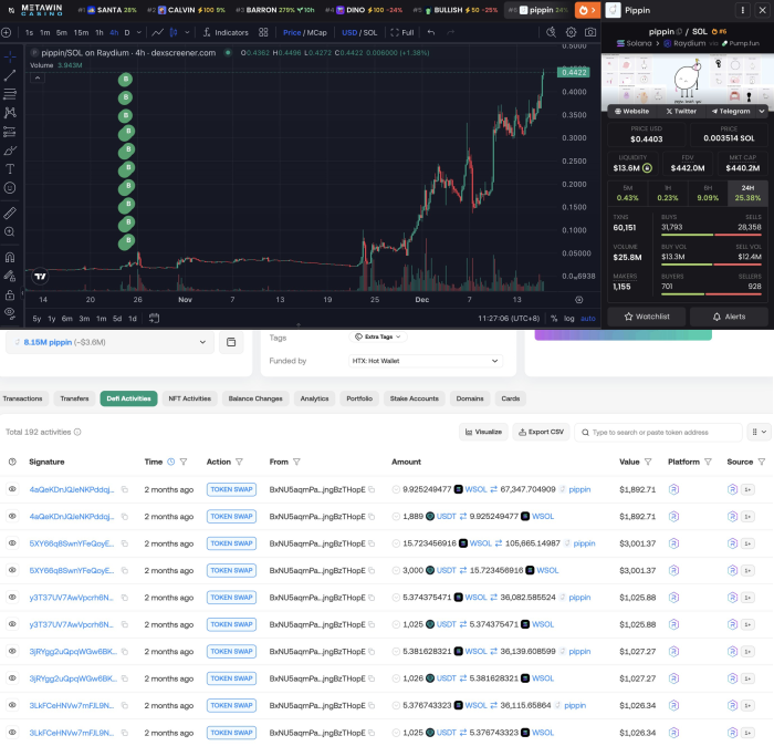 피핀(PIPPIN) 토큰 투자자, 2개월 만에 2,600만 원이 52억 원으로···수익률 1,900%