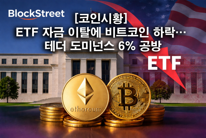 연이은 코인 현물 ETF 자금 이탈에 비트코인 하락···테더 도미넌스 6% 공방