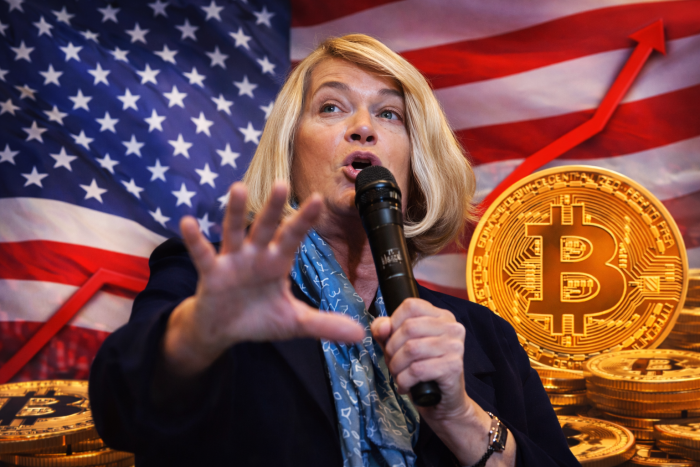 美  상원 친암호화 상징 신시아 루미스 불출마 선언