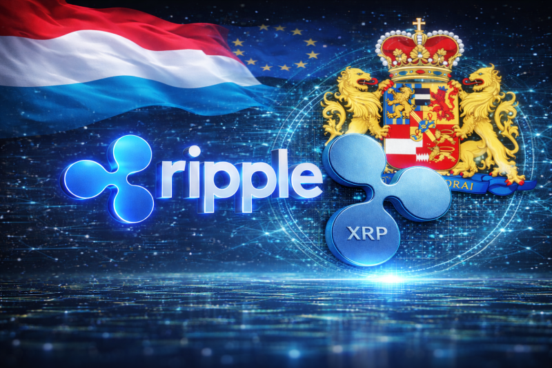 디자인=블록스트리트 정하연 기자