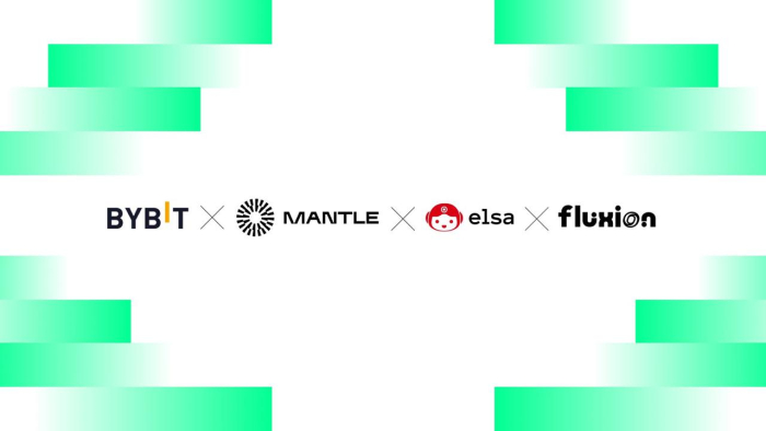 헤이엘사, 맨틀 네트워크 합류로 \'CEX-DeFi 브릿지\' 본격화