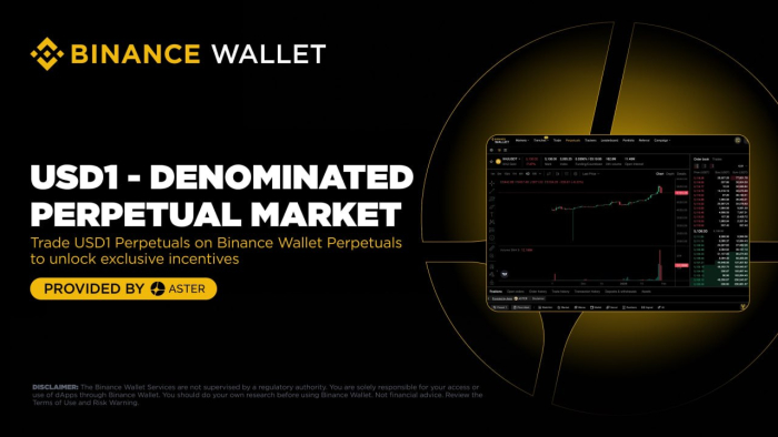 바이낸스 월렛, USD1 무기한 선물 거래 전격 지원···"수수료 파격 인하 혜택"